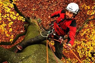 Tree worker