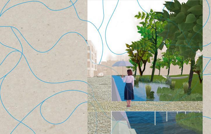 Een nieuwe kijk op een ecologische stedelijke waterloop