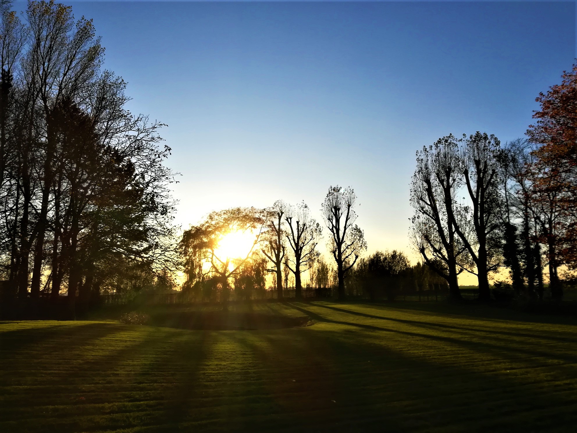 Tuinonderneming Nick Depover
