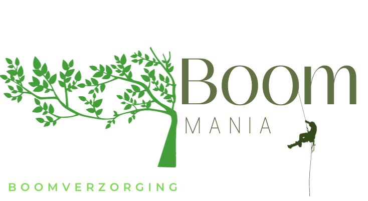 Boommania