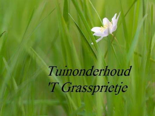 'T Grassprietje