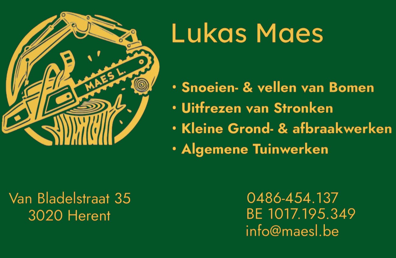 Maes Lukas BV