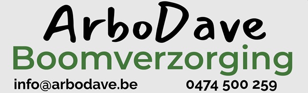 ArboDave Boomverzorging