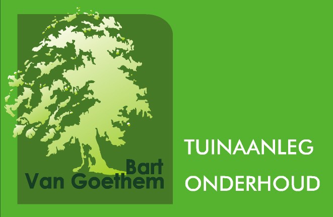 Bart Van Goethem
