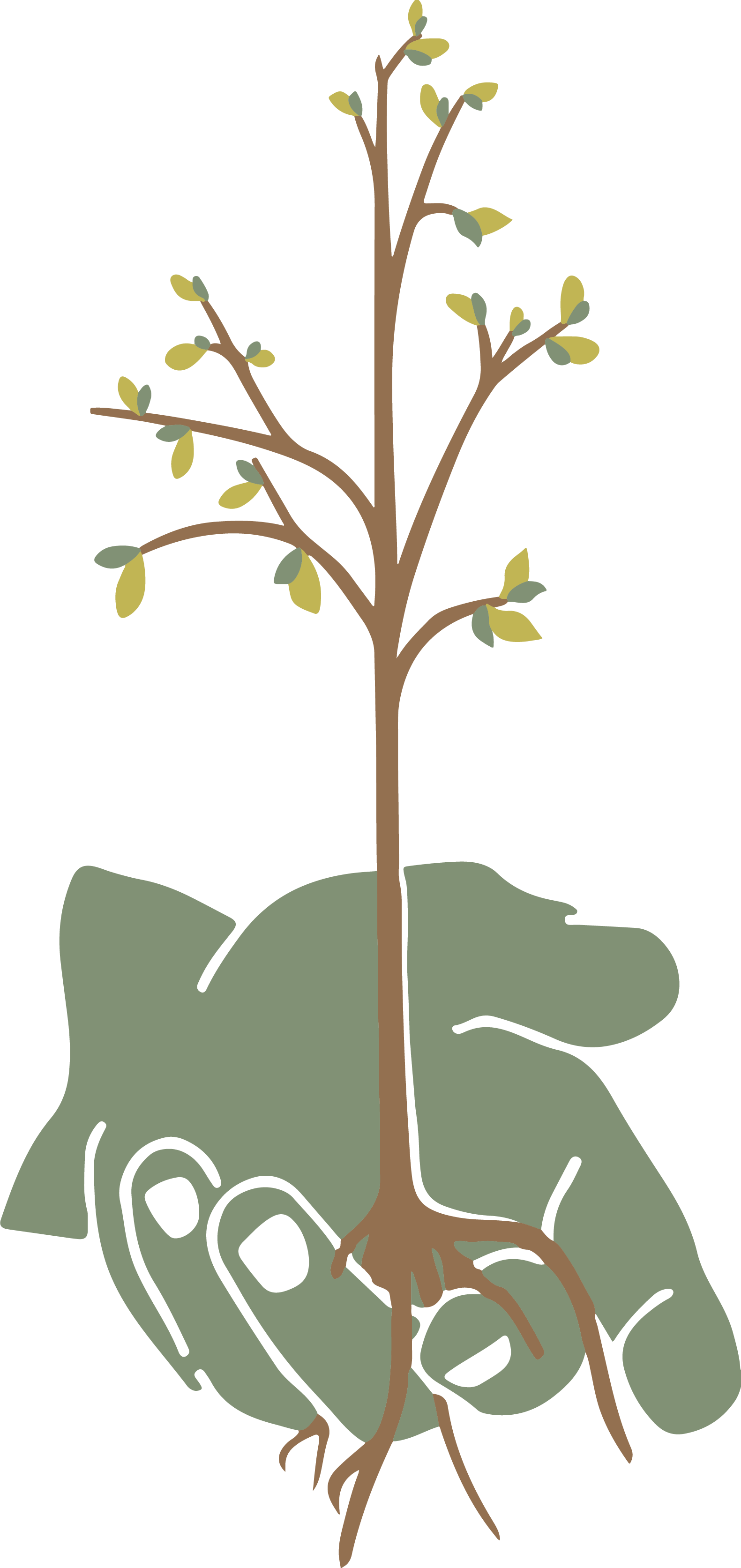 Bomen Maarten