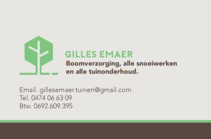 Gilles Emaer