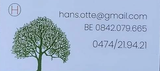 HansOtte Boomverzorging