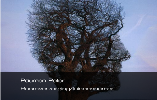 Paumen Peter boomverzorging / tuinaannemer