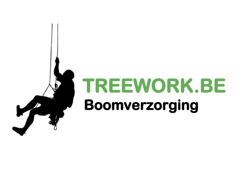 Treework.be