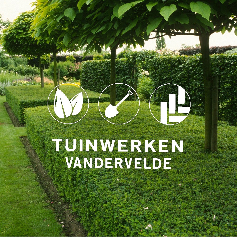 Tuinwerken Vandervelde 