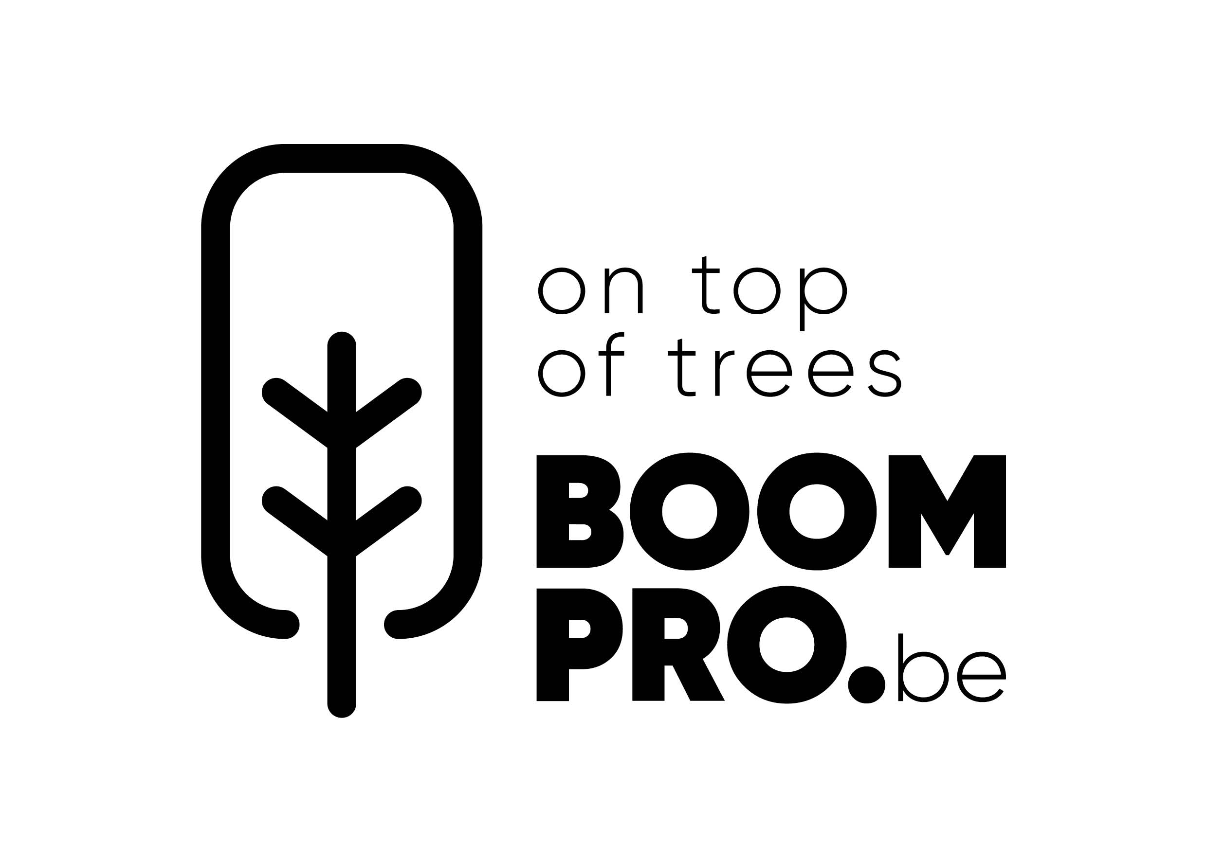 BOOMPRO.