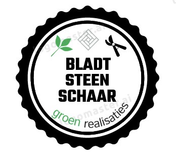 bladtsteenschaar
