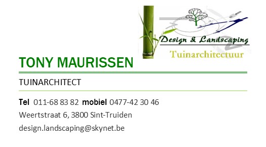 Design & Landscaping Tuinarchitectuur