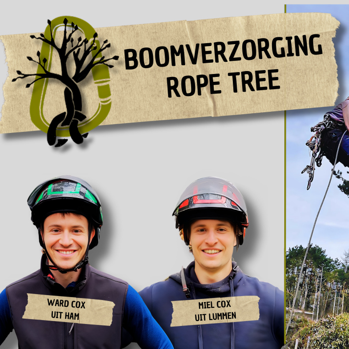 Teamfoto Rope Tree