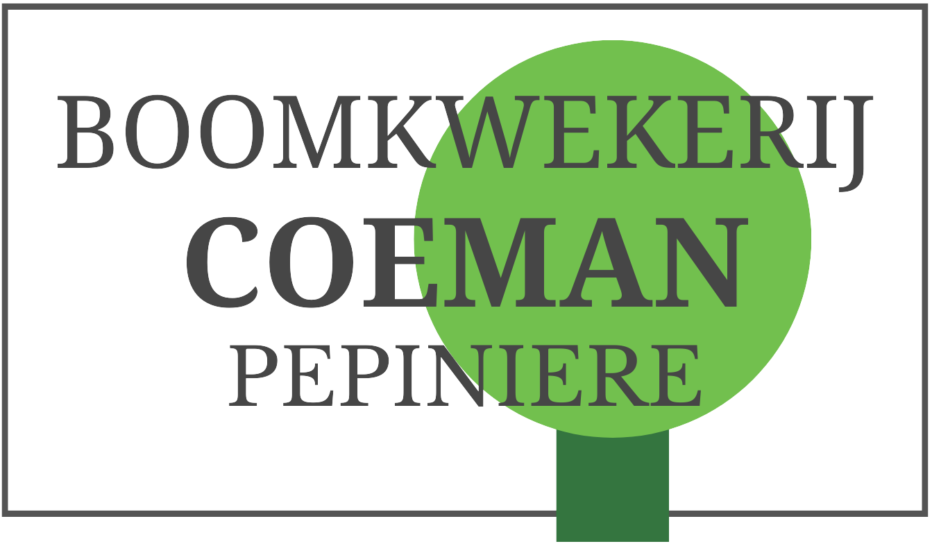 Boomkwekerij Coeman Alain nv logo