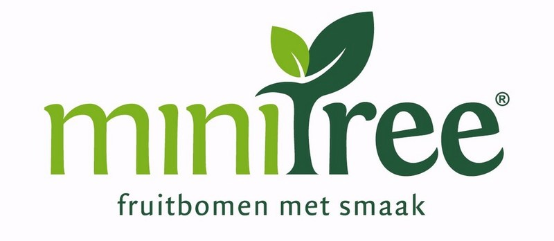 minitree.be logo