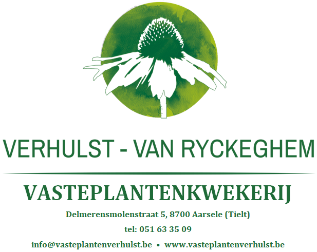 Vasteplantenkwekerij Verhulst - Van Ryckeghem bvba logo