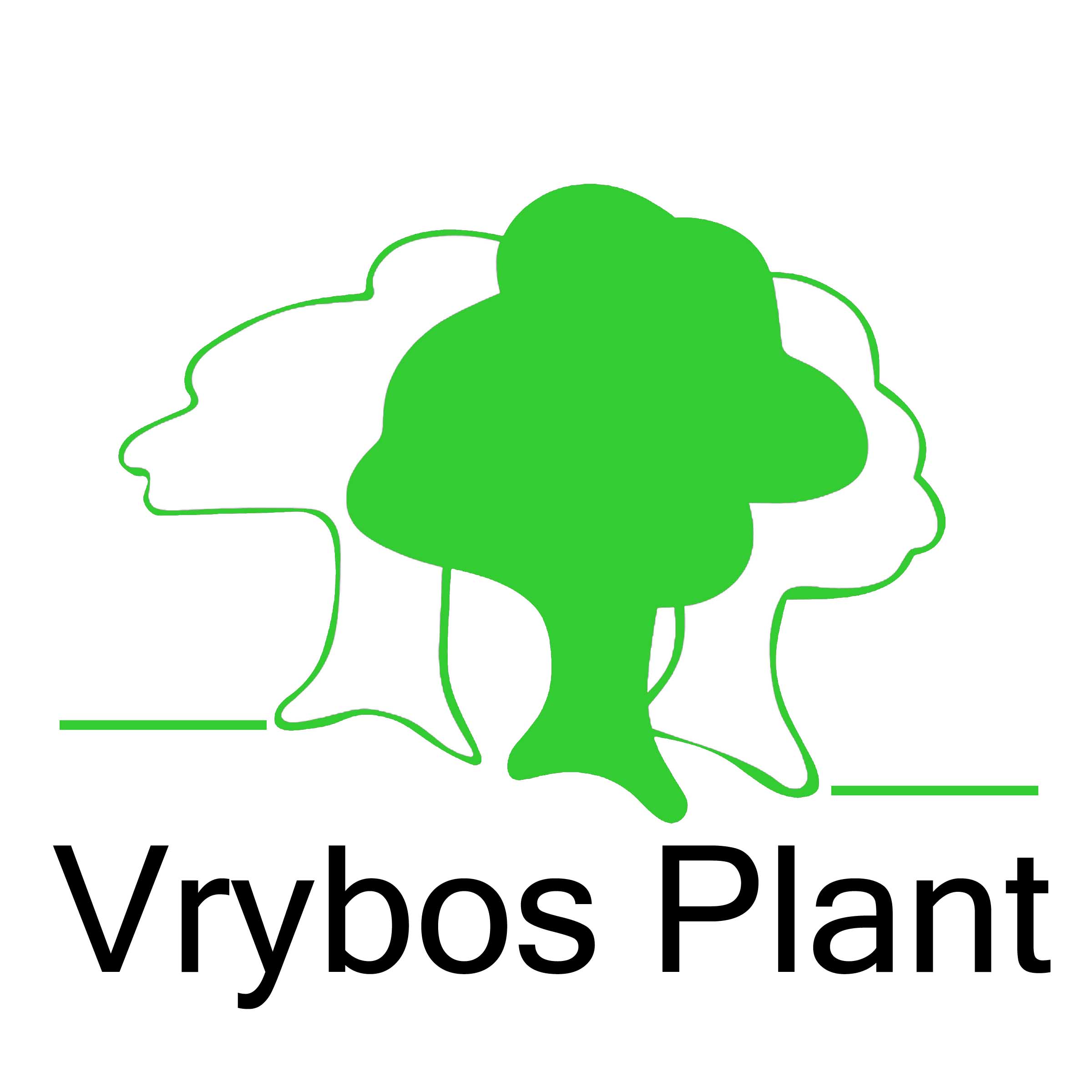 Vrybosplant logo