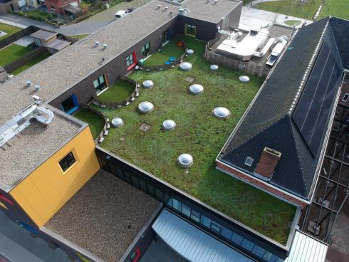 Extensief groendak school in Oekene