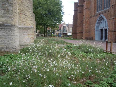 Stadspark in Veurne