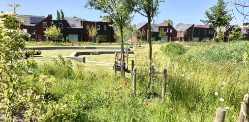 Delen van het Maaike Kerrebroeckpark worden extensief beheerd. © Katrien Verhaegen Delen van het Maaike Kerrebroeckpark worden extensief beheerd. © Katrien Verhaegen