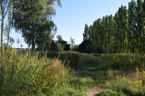 Antwerpen - Park Groot Schijn Antwerpen - Park Groot Schijn