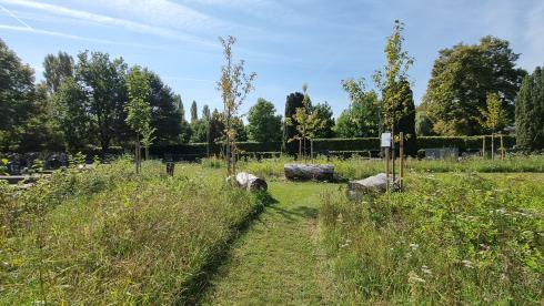 Schilde - Natuurlijke begraafplek