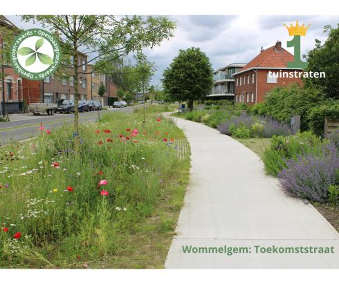 Wommelgem - Toekomststraat © VVOG