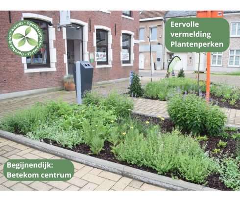 Begijnendijk - Vergroening Betekom centrum © VVOG