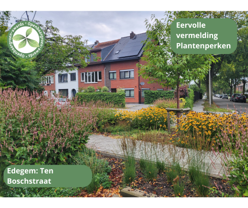 Edegem - Voetpadvernieuwing Ten Boschstraat © VVOG