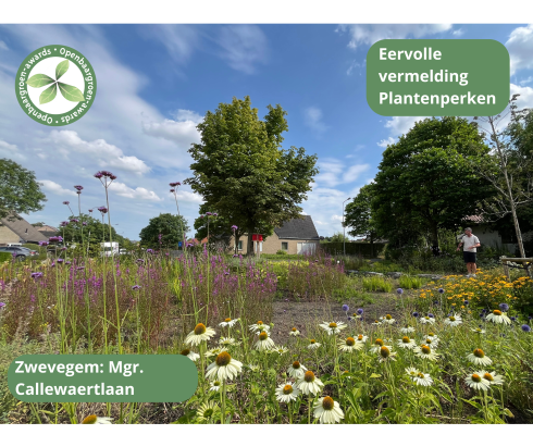 Zwevegem - Ontharding Mgr. Callewaertlaan © VVOG