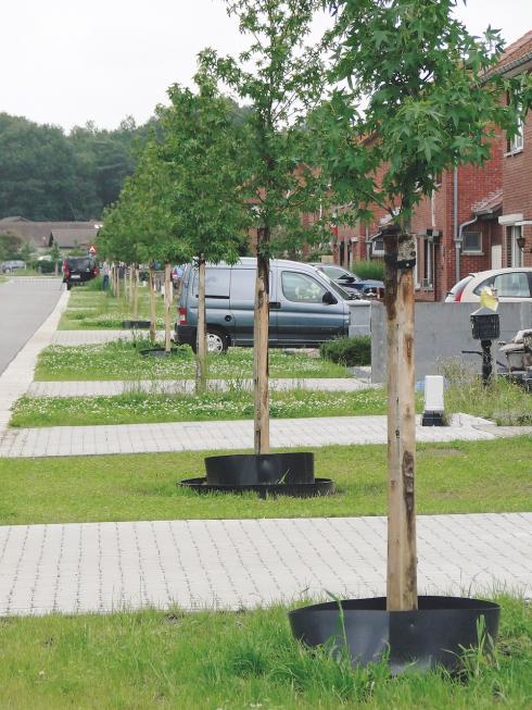 Steenovenstraat in Beringen Steenovenstraat in Beringen