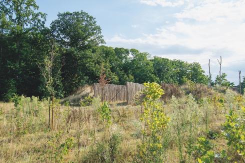 Menapiërspark Nieuwkerken-Waas in Sint-Niklaas