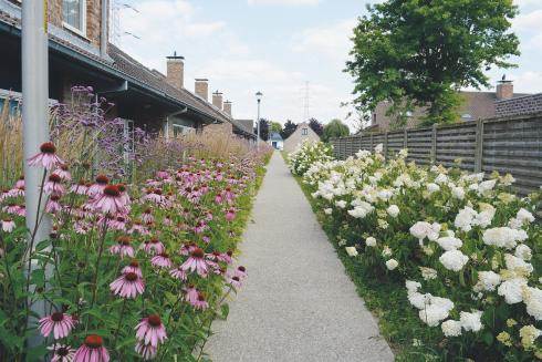 Ontharding voortuinen Koningswijk in Deerlijk Ontharding voortuinen Koningswijk in Deerlijk