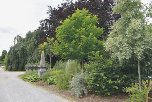 Stadsbegraafplaats doet dienst als plantenlabo in Leuven Stadsbegraafplaats doet dienst als plantenlabo in Leuven