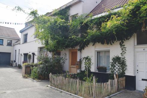 Ontharding en vergroening Van Leentstraat in Antwerpen-Borgerhout