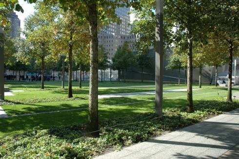 Bomenplein met witte moeraseiken (quercus bicolor) in New York