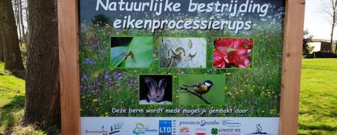 Minder eikenprocessierupsnesten door stimuleren biodiversiteit