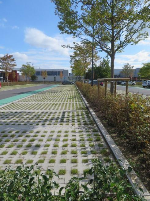 Site Schiervelde in Roeselare Site Schiervelde in Roeselare