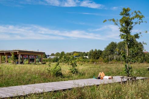 ”Kortrijk weide wordt hoofdzakelijk extensief uitgebaat” ”Kortrijk weide wordt hoofdzakelijk extensief uitgebaat”