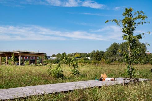 ”Kortrijk weide wordt hoofdzakelijk extensief uitgebaat”