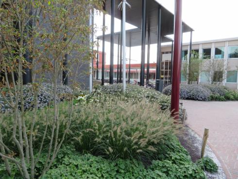 De Groene Stap in Bouchout De Groene Stap in Bouchout