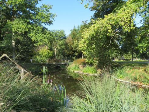 Gemeentepark in Lint