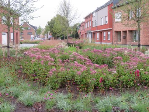 Gemeenteplein Rijmenam in Bonheiden