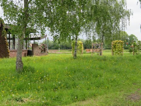 BijenBibtuin in Sijsele (Damme) BijenBibtuin in Sijsele (Damme)