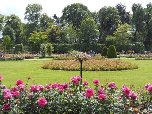 Rozentuin in het Vrijbroekpark in Mechelen.