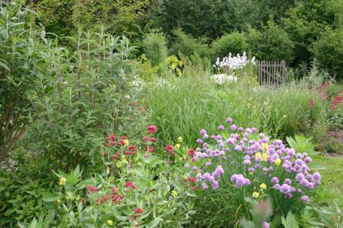 Vlindertuin Vlindertuin
