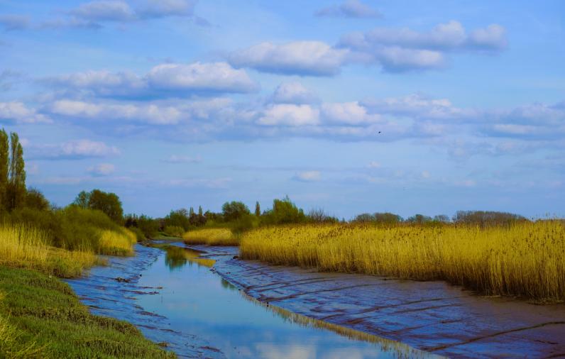 Een natuurlijke structuur verhoogt het zelfzuiverend vermogen en de waterkwaliteit van waterlopen © Jan Van Bizar / Pixabay