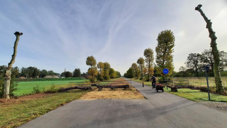 Minder verkeer en meer natuur in de Kauwbosstraat © VLM