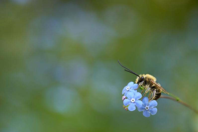 © Wolfgang Hasselman / Unsplash